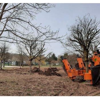 dépose dans parc