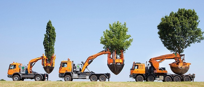 Transplanteuses Optimal grands arbres