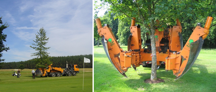 Machine Motteuse pour grands arbres